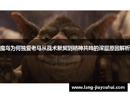 魔鸟为何独爱老马从战术默契到精神共鸣的深层原因解析